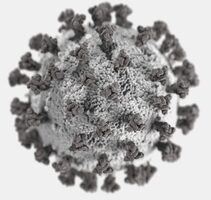 covid-virus_bw-1024x972